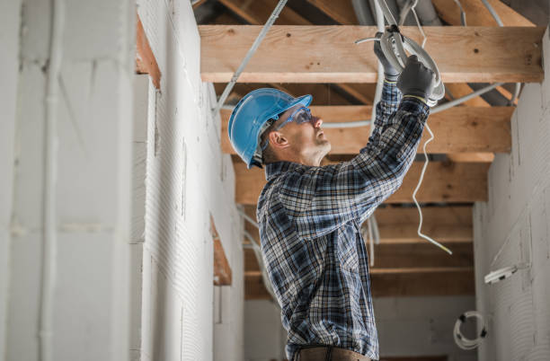 Best Electric Panel Repair  in Myrtle Grove, FL